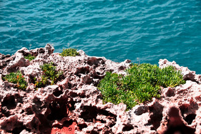 High angle view of rocks by sea