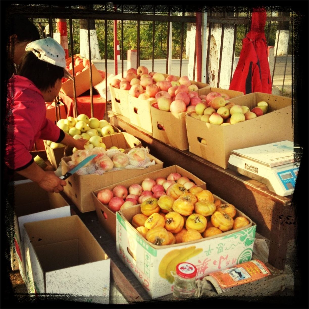 for sale, variation, food and drink, food, large group of objects, retail, freshness, choice, abundance, market stall, market, healthy eating, display, collection, price tag, arrangement, sale, fruit, vegetable, stack