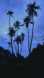 Low angle view of silhouette trees against sky