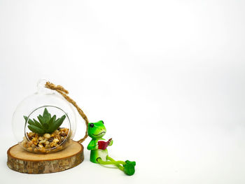 Close-up of food on table against white background