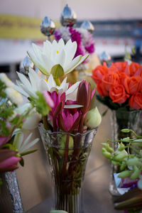 Close-up of pink flowers on vase