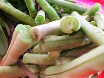 High angle view of chopped vegetables in container