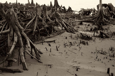 View of beach