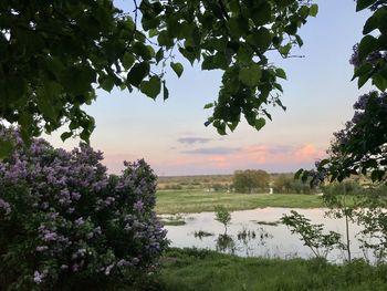 Scenic view of lake against sky