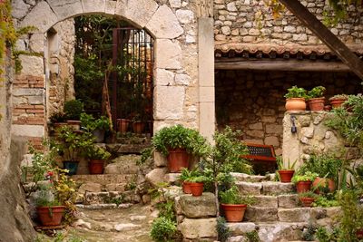 Potted plants against old building