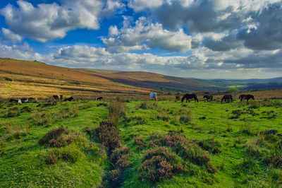 Scenic view of land against sky