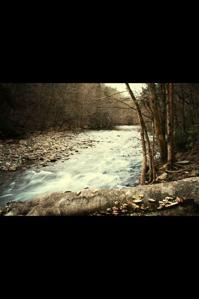 Gatlinburg, tn