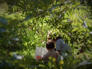 Rear view of couple in tree