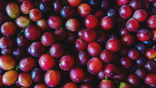Full frame shot of red grapes