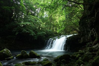 View of waterfall