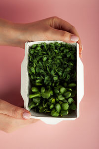 Girl holds a cardboard box with microgreen. raw sprouts. healthy eating and diet, vegan lifestyle