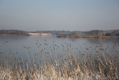 Scenic view of lake against clear sky