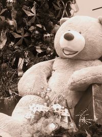 Close-up of stuffed toy