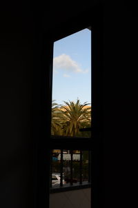 Trees seen through window