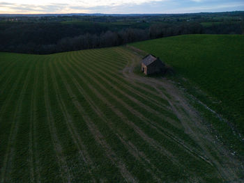 Scenic view of agricultural field