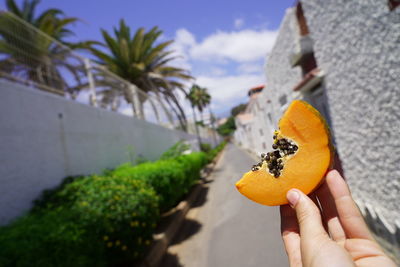 Close-up of hand holding orange