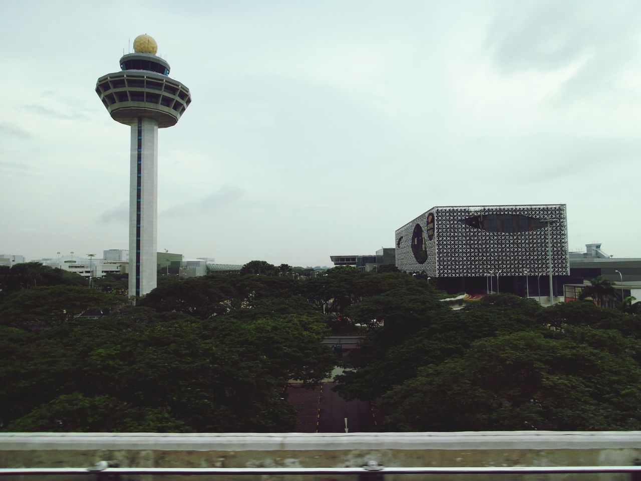 building exterior, architecture, built structure, tree, city, sky, tower, tall - high, skyscraper, travel destinations, communications tower, capital cities, modern, cloud - sky, famous place, street light, office building, travel, low angle view, cityscape