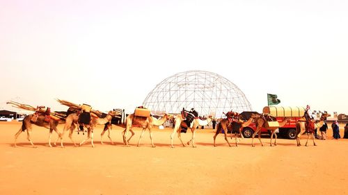 Group of people with horses in the background