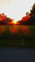 Scenic view of park against sky during sunset