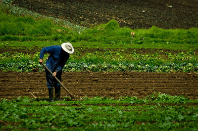 Full length of farmer ploughing