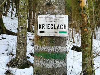 Information sign on tree trunk during winter