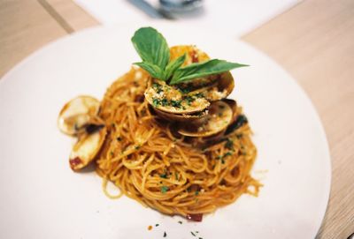 Close-up of noodles served in plate