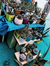 High angle view of potted plants for sale at market stall