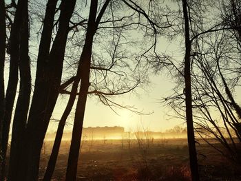 Silhouette bare trees on landscape against sky during sunset