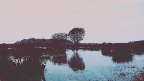 Reflection of trees in lake against sky