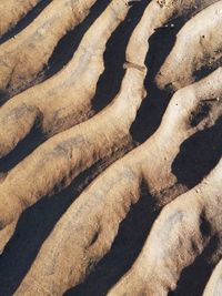 High angle view of shadow on land