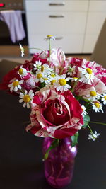 Close-up of pink flowers