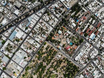 High angle view of trees and buildings in city