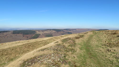 Scenic view of landscape against clear blue sky