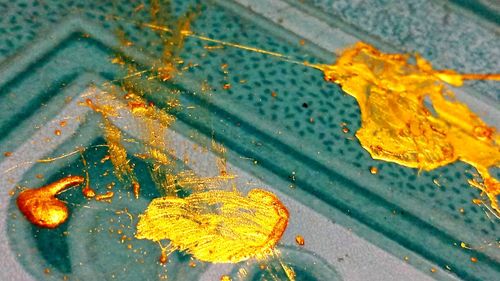 High angle view of autumn leaves on rusty metal