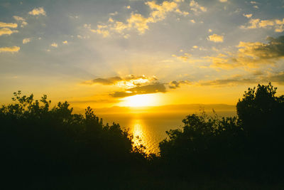 Scenic view of silhouette trees against orange sky