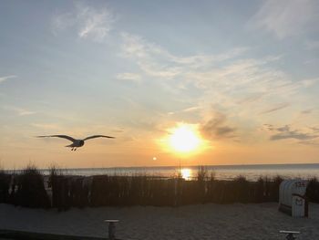 Seagull flying over sea against sky during sunset