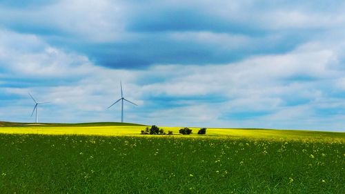 Field against cloudy sky