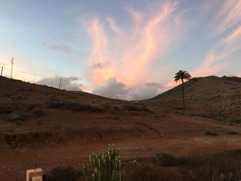 Scenic view of field against sky during sunset