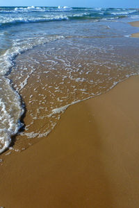 Scenic view of beach