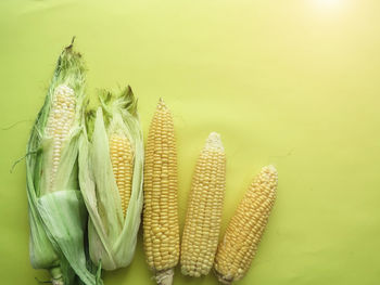 Close-up of fresh vegetables