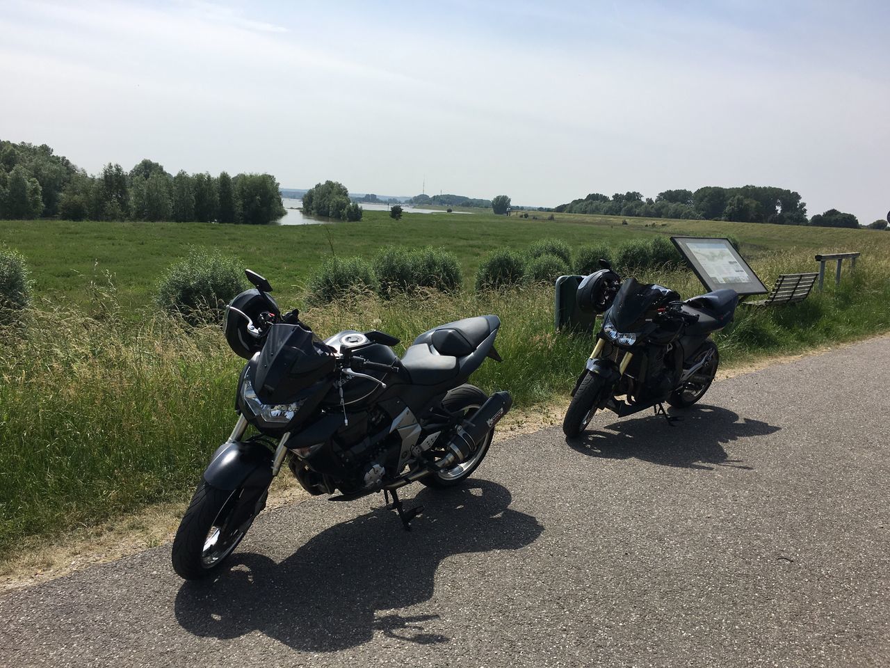 transportation, land vehicle, mode of transport, shadow, on the move, sunlight, riding, bicycle, working animal, men, helmet, side view, sky, sports race, crash helmet, motor vehicle, competition, day