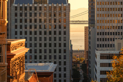 Buildings in city