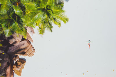 Drone view of woman lying on sand at beach