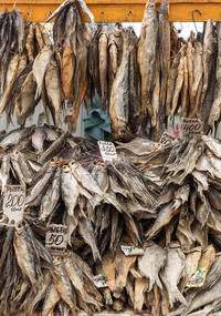 Full frame shot of dead fish for sale