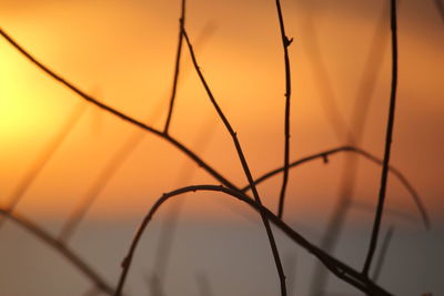 Close-up of water against sky during sunset