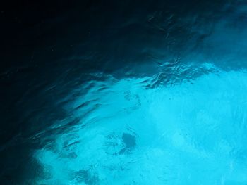 Close-up of swimming underwater