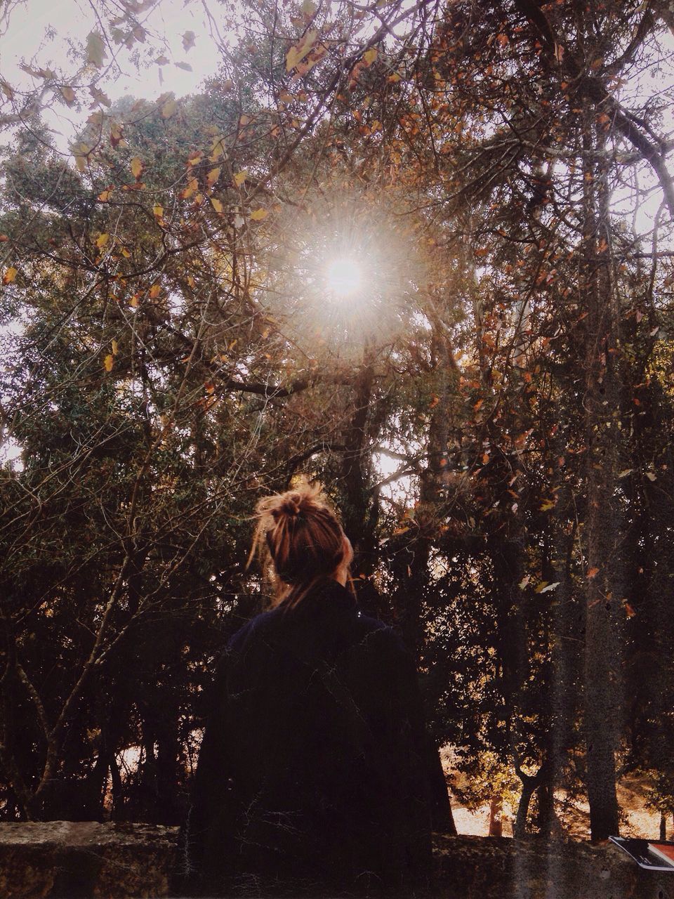 REAR VIEW OF WOMAN WITH TREES AGAINST SKY