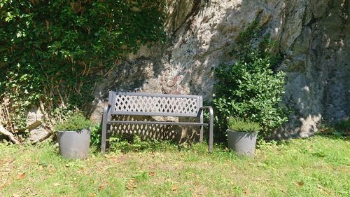 Empty bench in yard