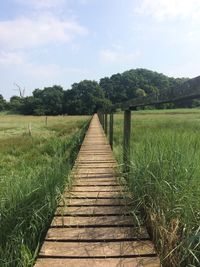 Wooden boardwalk on field against sky