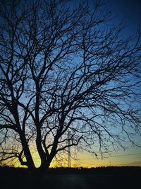 Silhouette bare tree on field against sky at sunset